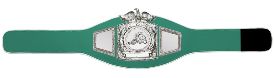PROEAGLE JIU JITSU CHAMPIONSHIP BELT - PROEAGLE/S/JJS - AVAILABLE IN 6+ COLOURS PROEAGLE JIU JITSU CHAMPIONSHIP BELT - PROEAGLE/S/JJS - AVAILABLE IN 6+ COLOURS